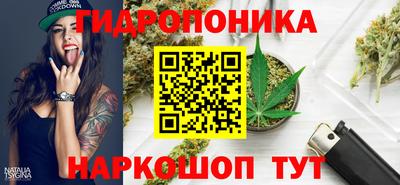 МДПВ Краснознаменск