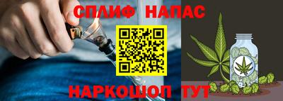 СК Краснодар