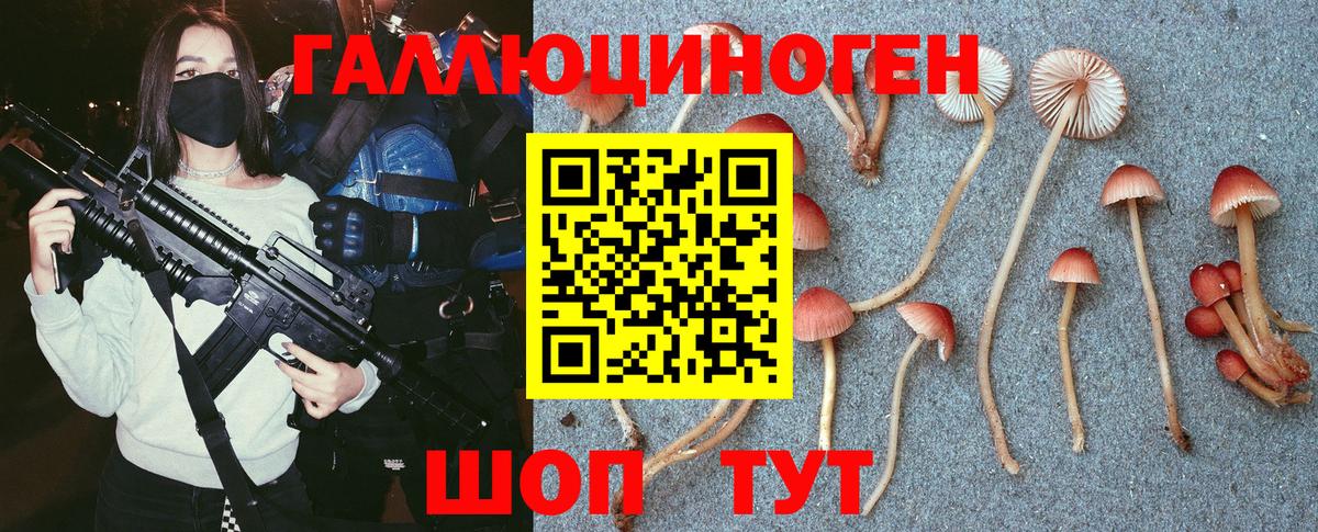 Псилоцибиновые грибы ЛСД Елабуга