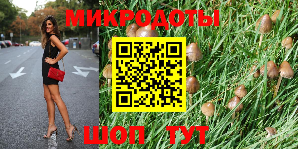 Галлюциногенные грибы Cubensis  Вход с VPN  Елабуга 